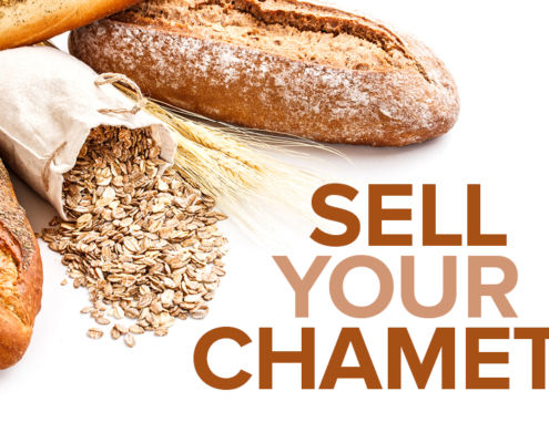 sell chametz 5781 for website
